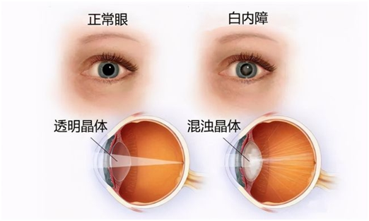 微信图片_20240613153038.png 微信图片_20240613153038.png